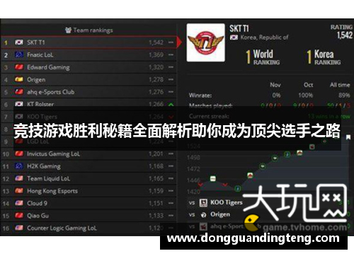 竞技游戏胜利秘籍全面解析助你成为顶尖选手之路